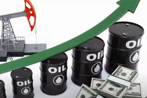 Стоимость нефти выросла на 5%