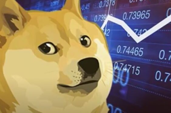 Dogecoin вырос в цене в 2 раза