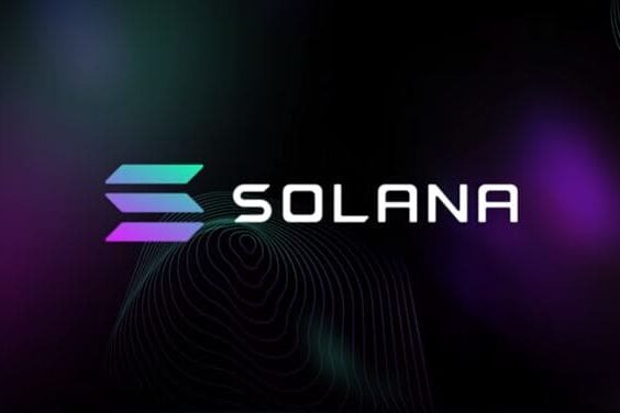 Solana поднялся в цене на 120% за две недели