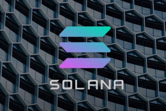 Блокчейн Solana снова стал работать после сбоя
