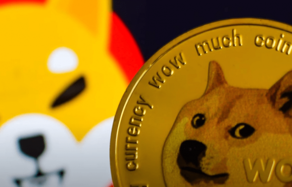 Shiba Inu на пике обошел Dogecoin по капитализации