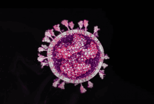 Таблетка от коронавируса