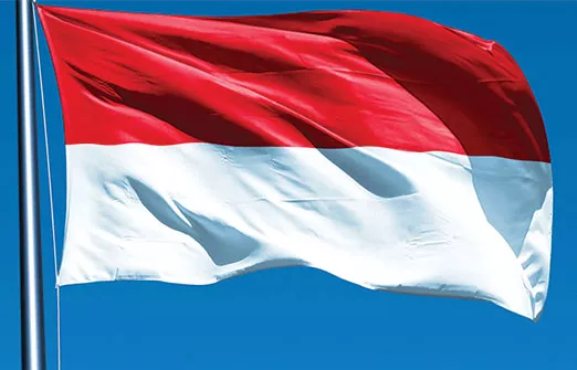 Индонезия отказывается от налога на экспорт пальмового масла