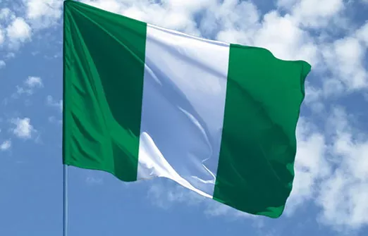 Нигерия: государственная энергетическая компания начинает коммерческую деятельность