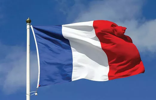 Франция предлагает заплатить 9,9 млрд долларов за национализацию Electricite de France SA