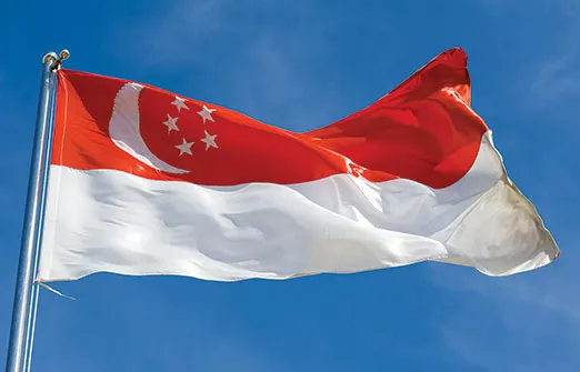 Сингапур предоставит Vauld трехмесячную защиту кредиторов