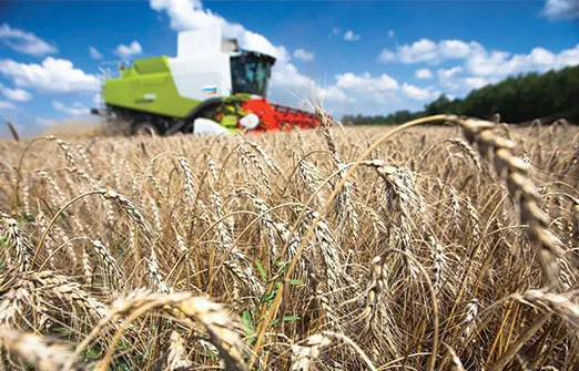 Россия возобновляет сделку по экспорту зерна из Украины
