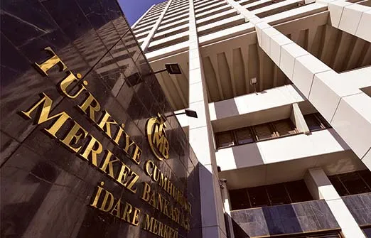 Центральный банк Турции просит банки замедлить покупку доллара до следующей недели