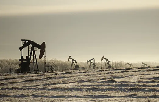 Стоимость нефти растет после семинедельного падения вниз