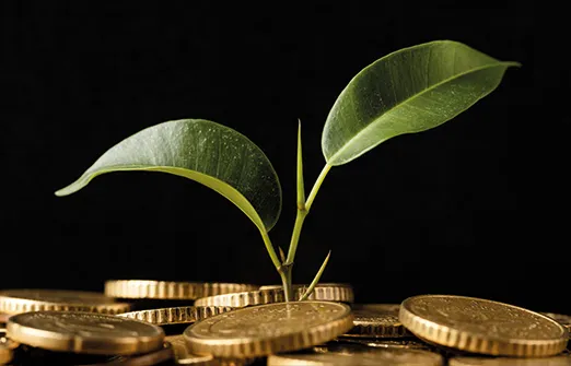 Следующее волшебное денежное дерево Crypto появится в ОАЭ?