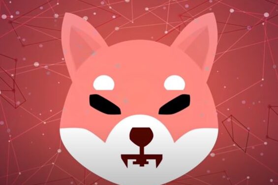 Цена Shiba Inu падает: SHIB у $0.000007