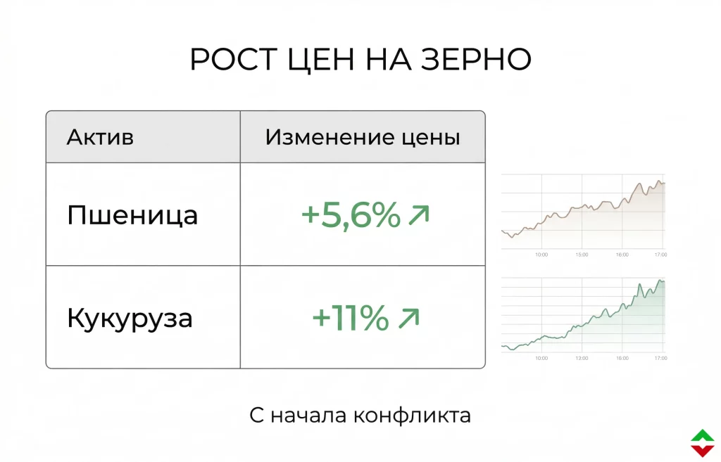 Урожай пшеницы и кукурузы в ЮАР под угрозой из-за дефицита топлива 2 Рост цен на зерно