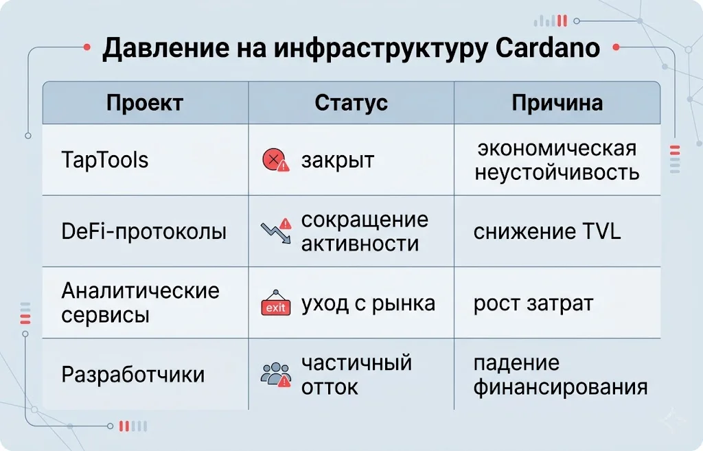 Давление на инфраструктуру cardano
